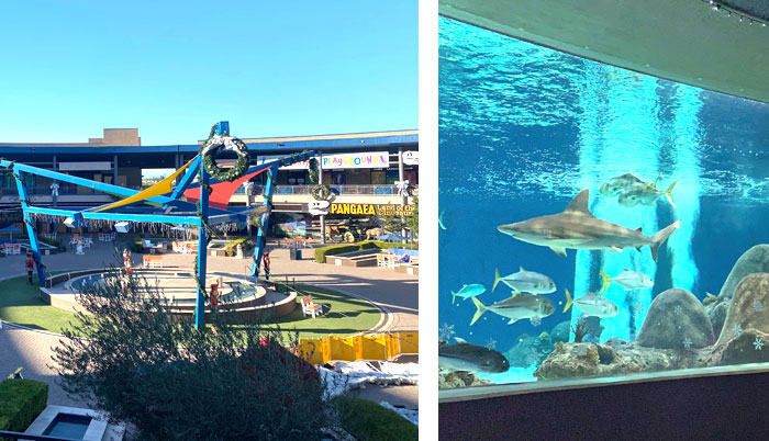 OdySea Aquarium Scottsdale