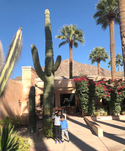 Scottsdale AZ