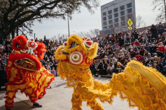 lunar new year celebration with lion dances