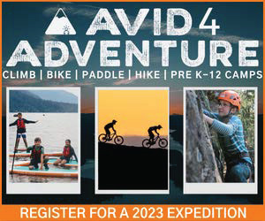 Avid4  ad