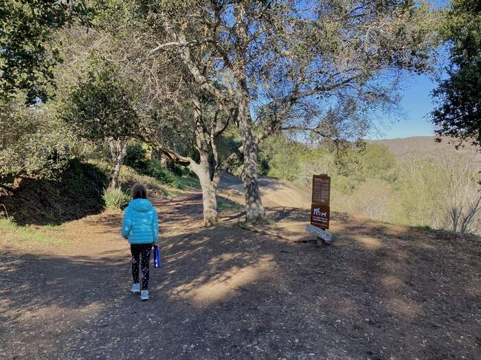 Child hiking along wooded path with coat on