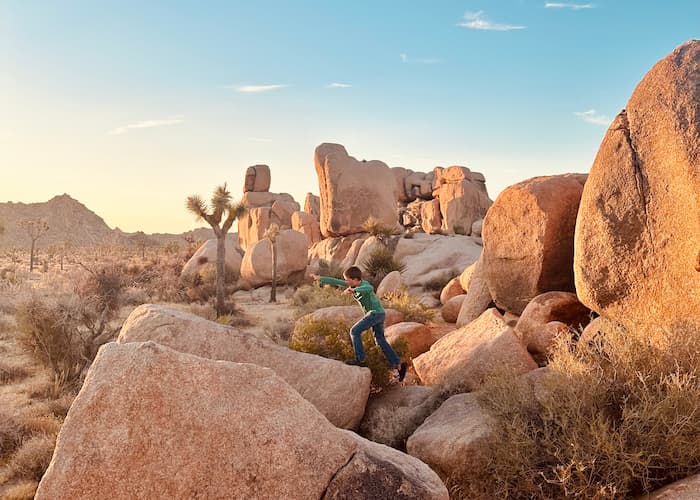 boy jumping on big rocks by a Joshua tree