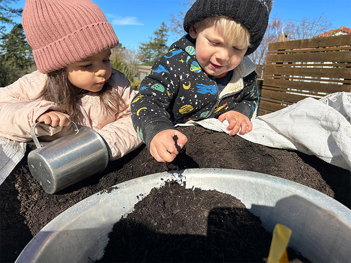 Berkeley Hills DayCare - Blue Leaf