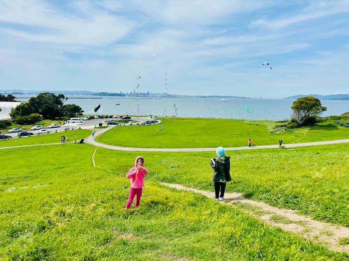 little kids flying kites on grassy hill