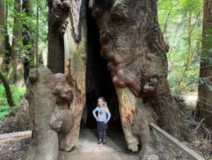 Child inside tree