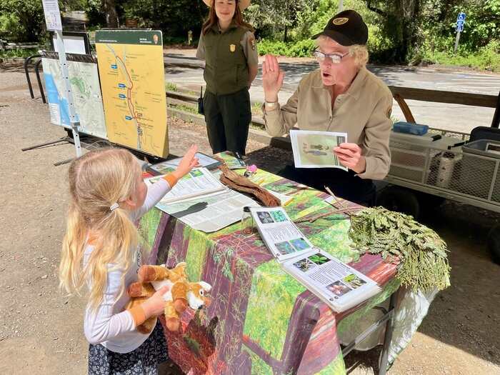 Child getting junior ranger badge at National Park