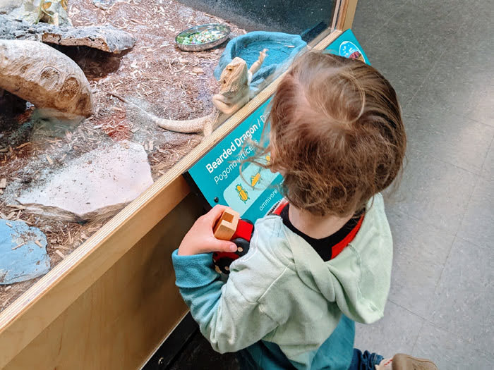 Animal Discovery Zone