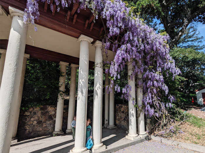 Morcom Rose Garden Oakland