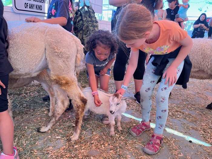 Children at petting zoo