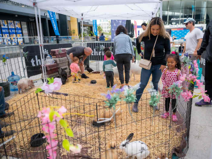 Child and parent at petting zoo