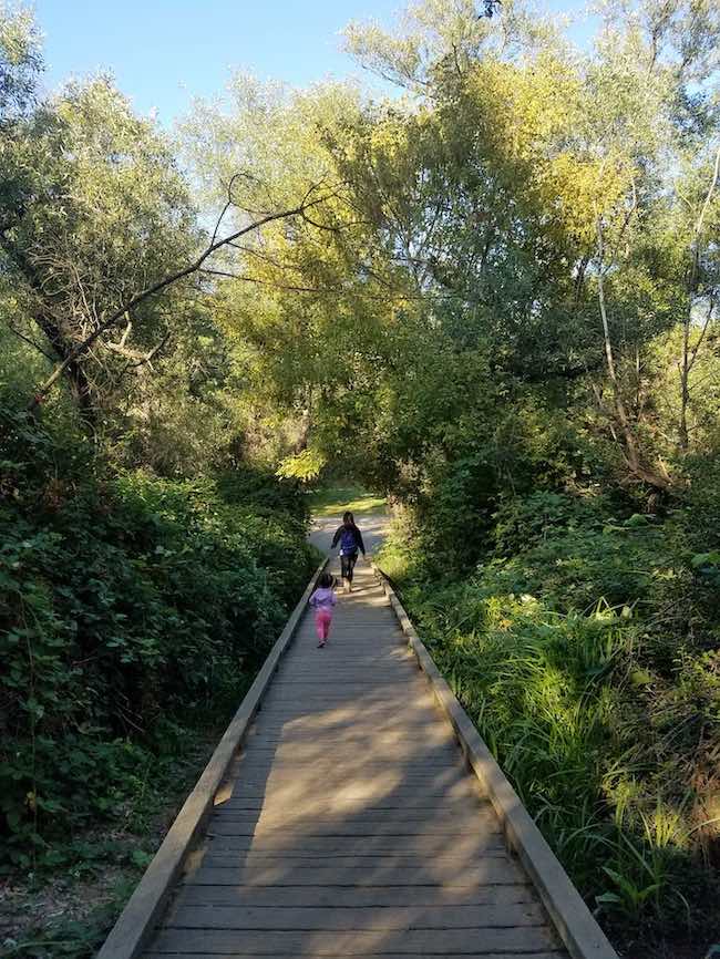 Lake Chabot Park hiking with kids