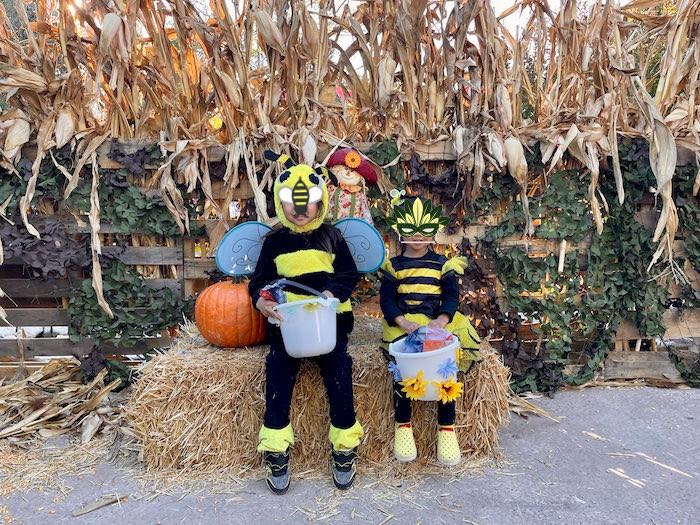 two kids in halloween costumes dressed as bees with hay in the background