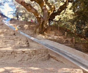 boy sliding down concrete slide