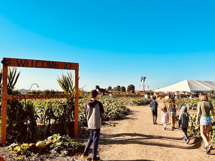 kids walking on dirt path on farm