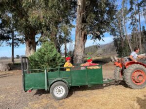 kids riding in green tractor