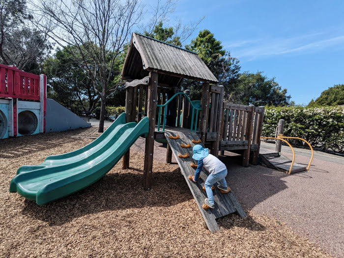 Cedar-Rose-Park-Berkeley