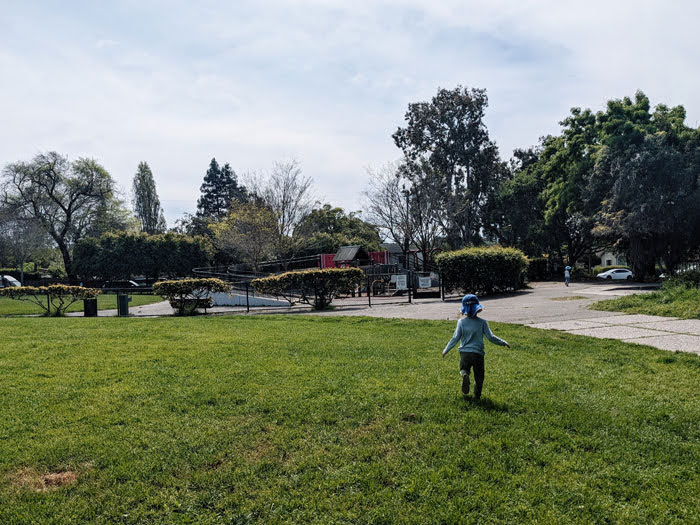 Cedar-Rose-Park-Field