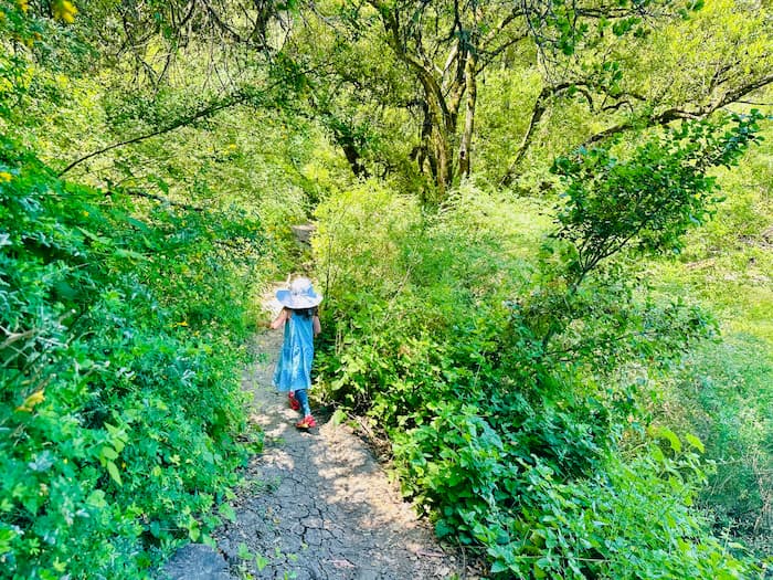 little girl in hat hiking on a path surrounded by greenery