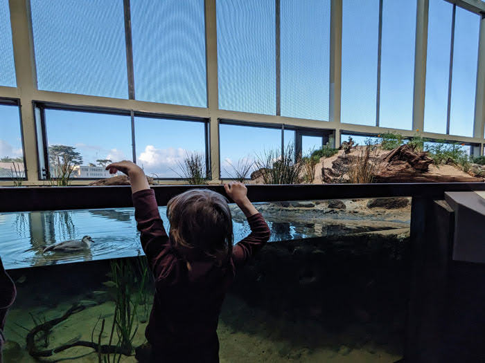 Monterey Bay Aquarium