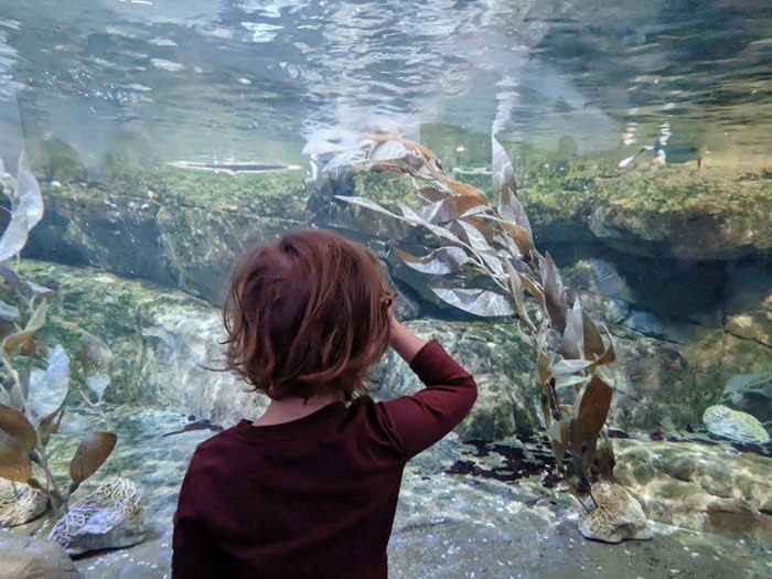 Monterey Bay Aquarium