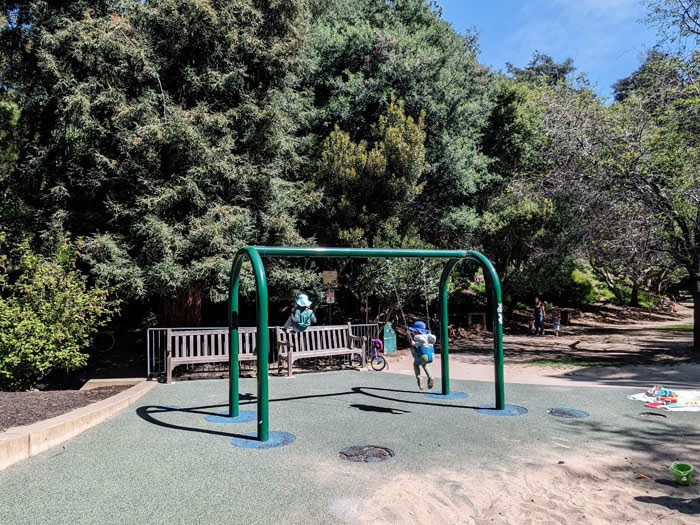 kids swinging on swings