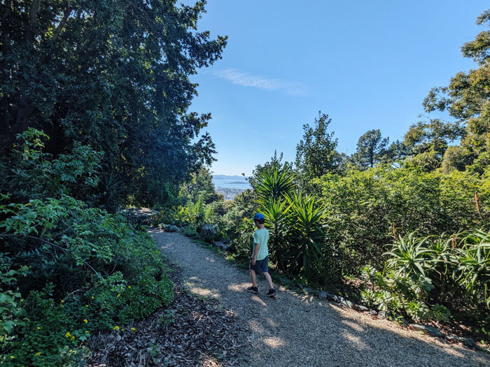 blake garden in kensington