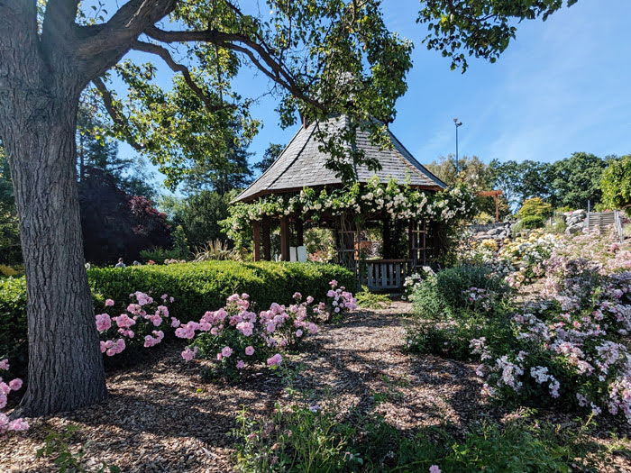 Heather Farm Park