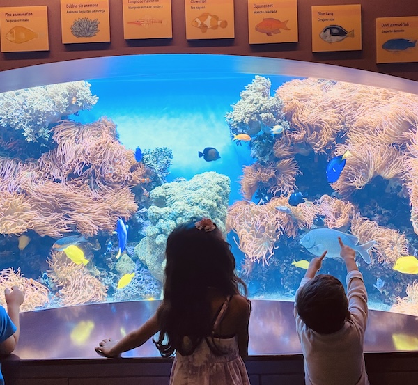 Monterey Aquarium