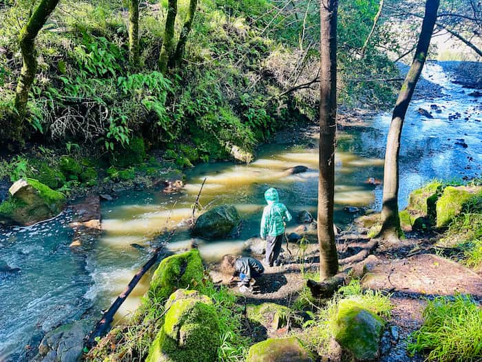 kids playing by creek