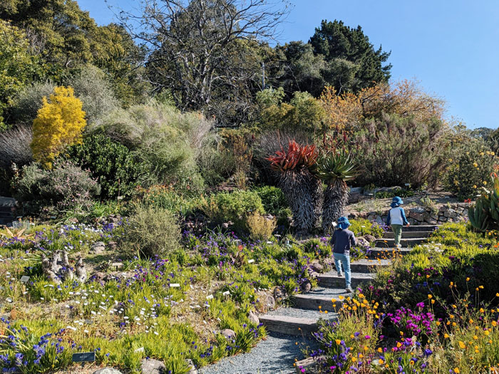 Kids at Garden in Berkeley