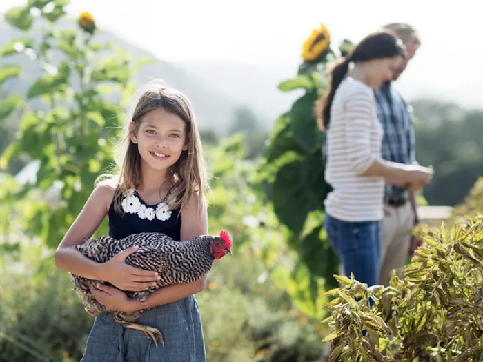 child holding chicken in a garden with a view at carmel valley ranch