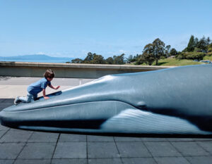 Outdoors at Lawrence Hall of Science in Berkeley whale sculpture