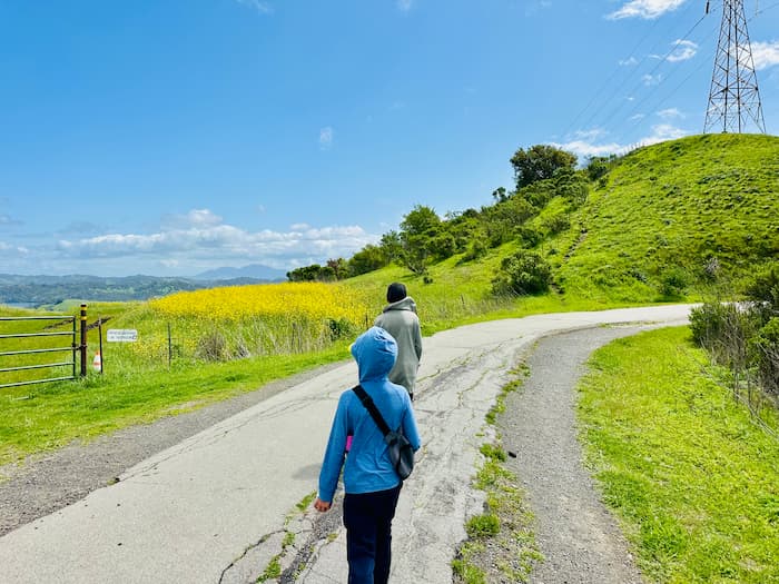 two kids walking on path with yellow wildflowers