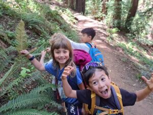 kids on a nature hike together in the woods