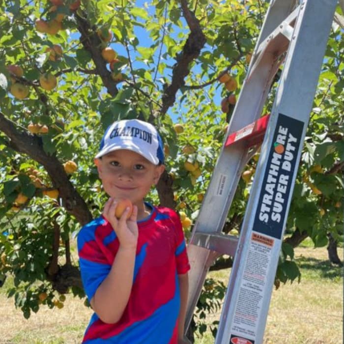 boy holding peach next to a ladder