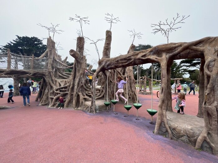play structure at the san francisco zoo with climbing structures that look like trees. children playing