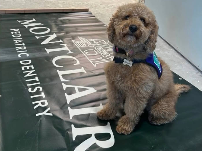 therapy dog, churro, at montclair pediatric dentistry