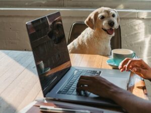 faceless lady working on laptop near dog at table