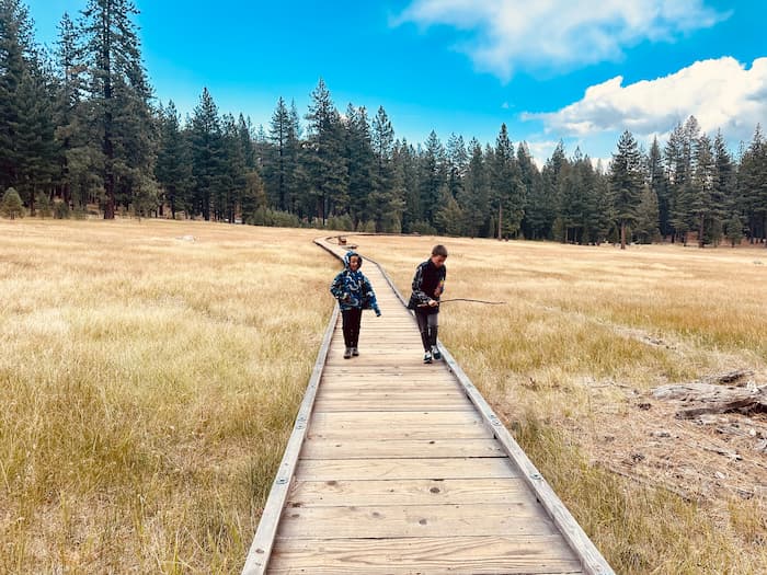 kids hiking on wooden pathway in meadow