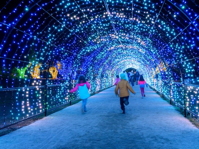 running through the light tunnel is something special