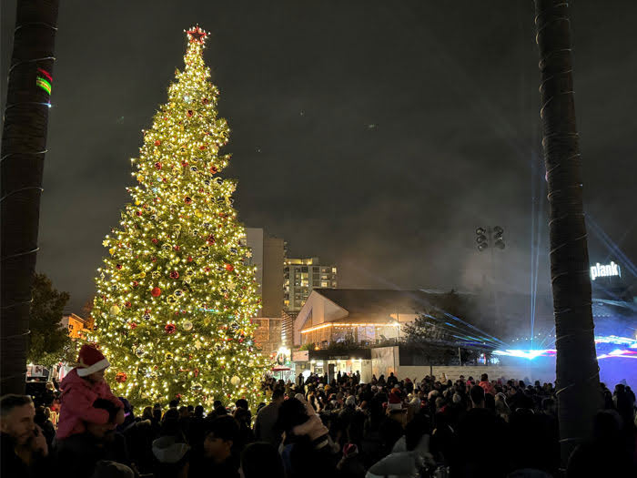 Holiday tree lighting in Oakland