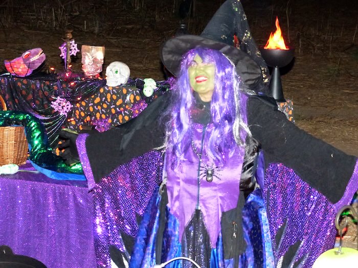 purple witch at night