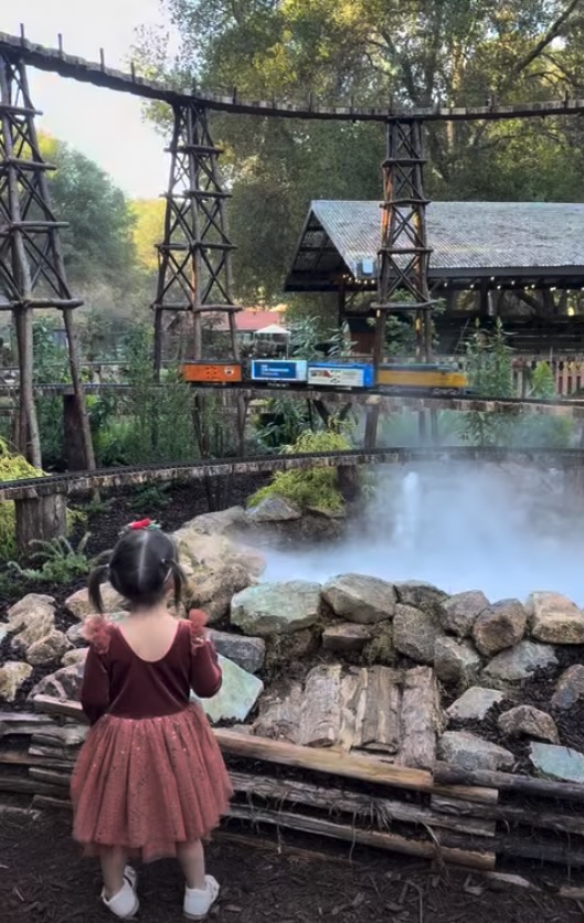small child watching model trains at Filoli thistlewyck holiday exhibition 2025
