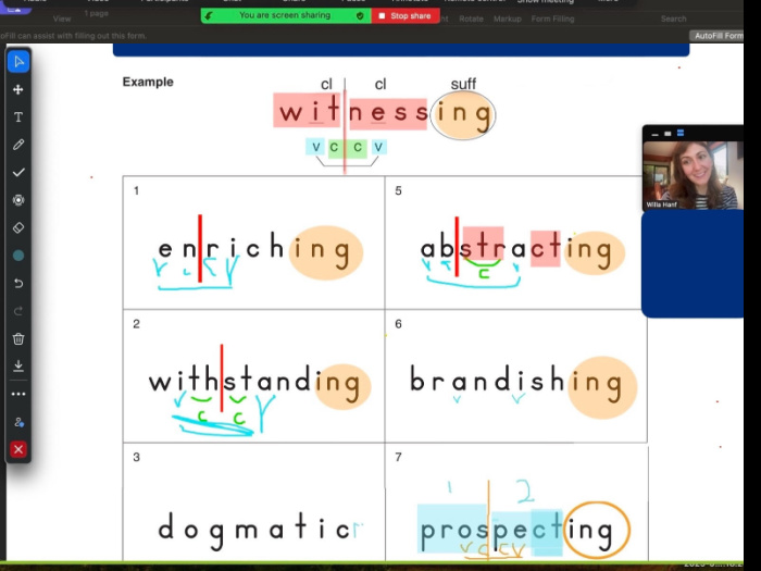 meyerson education services online coaching session with Willa
