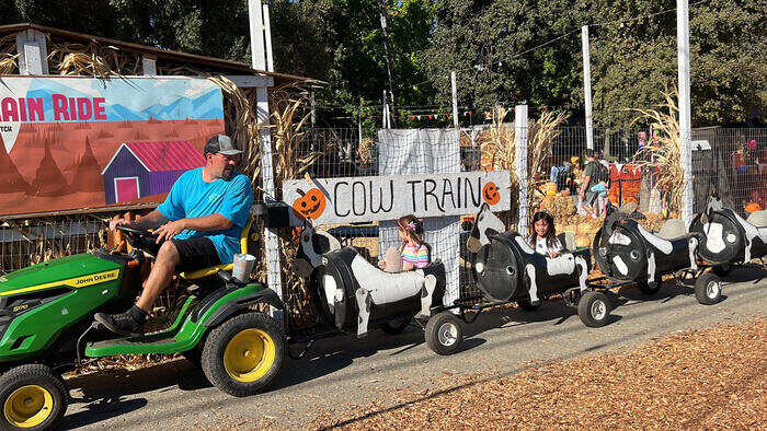 Cow train