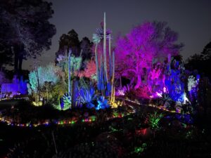 Garden of D'Lights at Ruth Bancroft Gardens