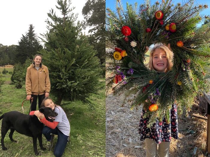 dog, christmas trees, wreath