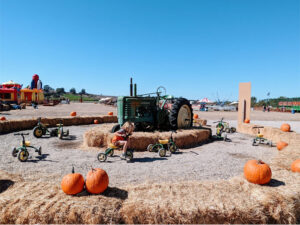 Riding tractor bikes at Santa Rosa Pumpkin Patch