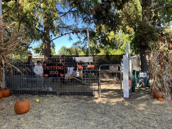 Shadelands Petting Zoo