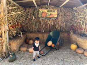 Shadelands Pumpkin Patch